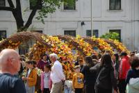 Imagine atasata: opv,flor,ish-21.apr.2019-026.jpg